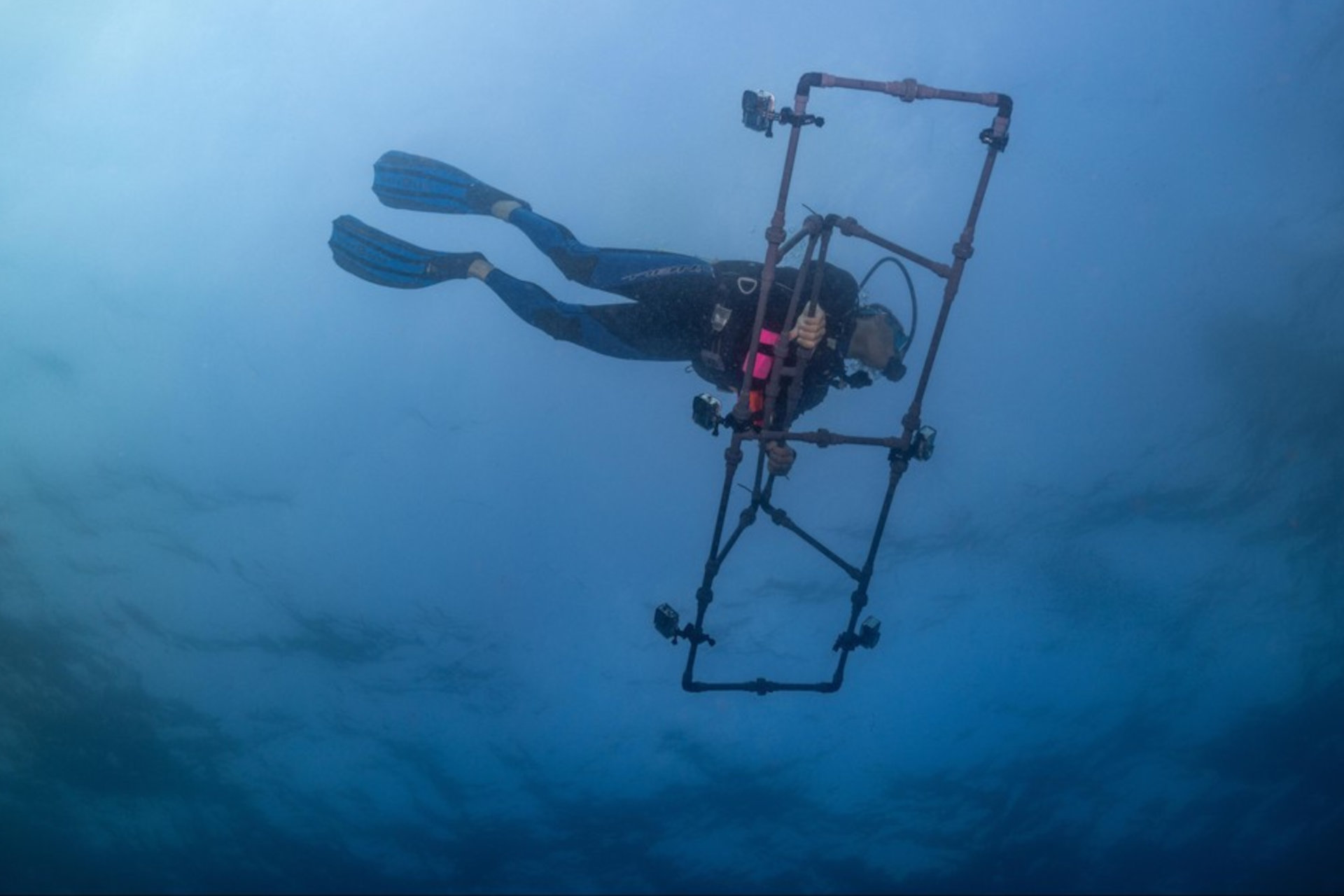 L'Intelligenza Artificiale per salvare le barriere coralline