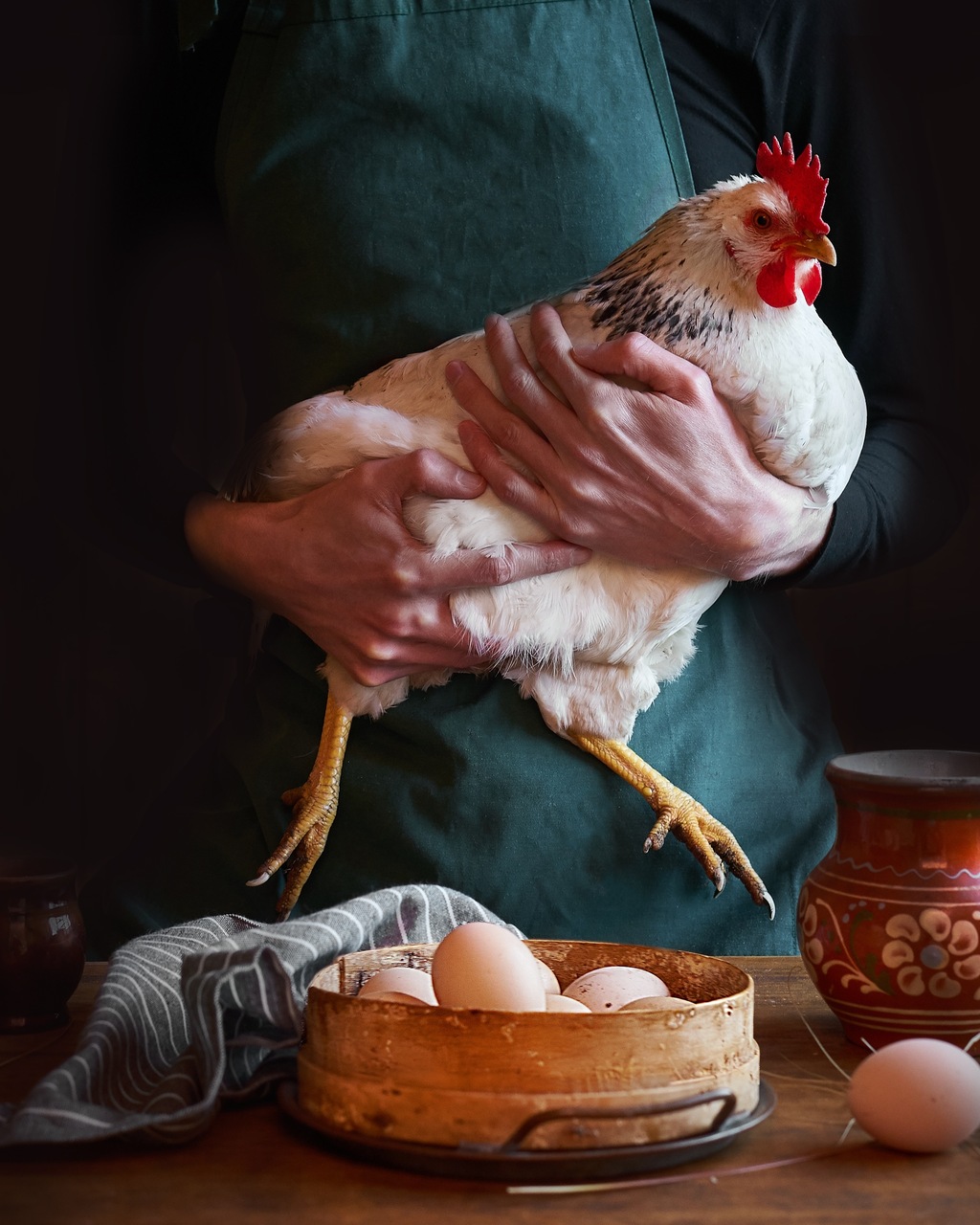 นวัตกรรม : ไก่กับไข่