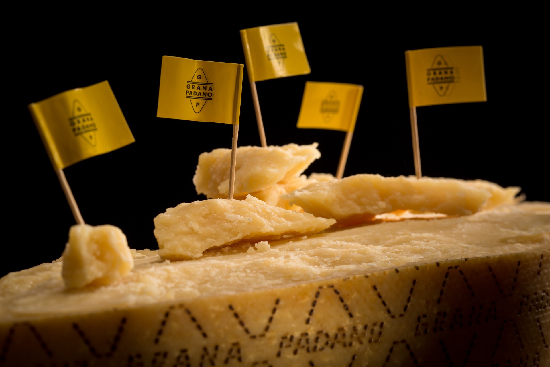 Grana Padano: in che modo l'ambiente determina le peculiarità del formaggio