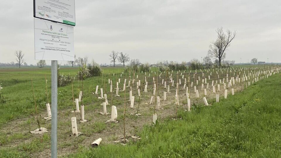 Urban reforestation: two new peri-urban forests, for 1084 trees and shrubs and 9.000 square meters of surface area, were inaugurated in Sissa Trecasali (Parma)