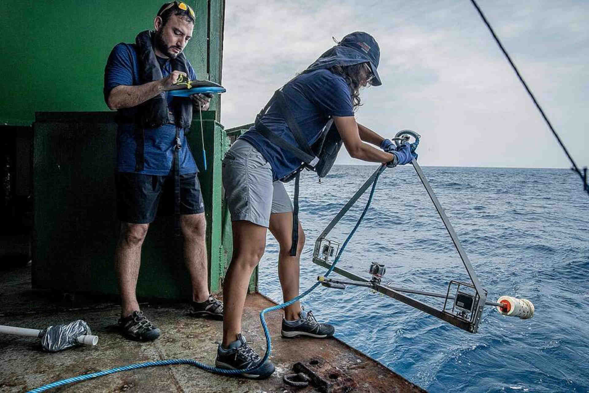 การให้สัตยาบันสนธิสัญญามหาสมุทรเป็นเรื่องเร่งด่วน: ภารกิจของกรีนพีซ