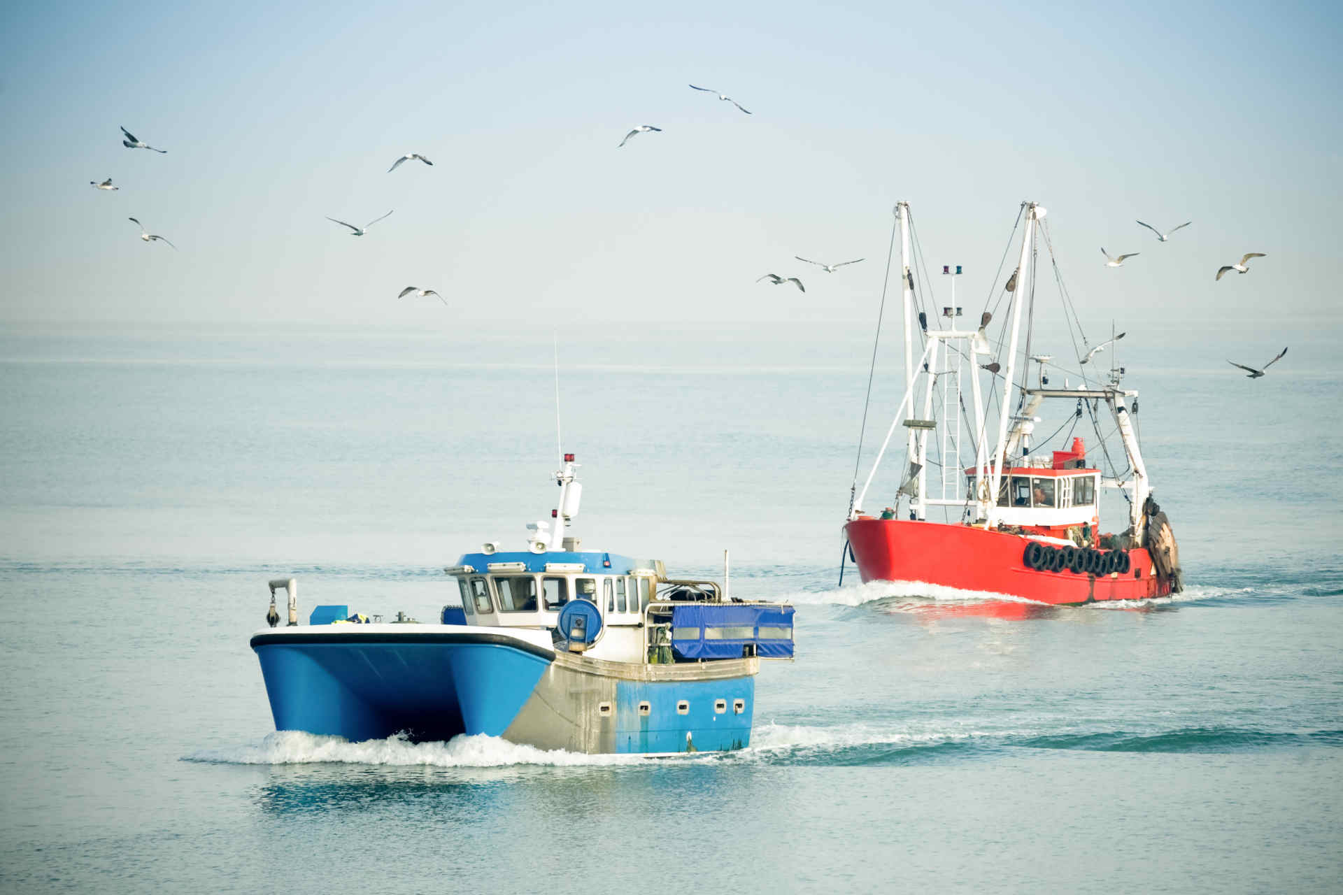 La Grecia vieterà la pesca a strascico