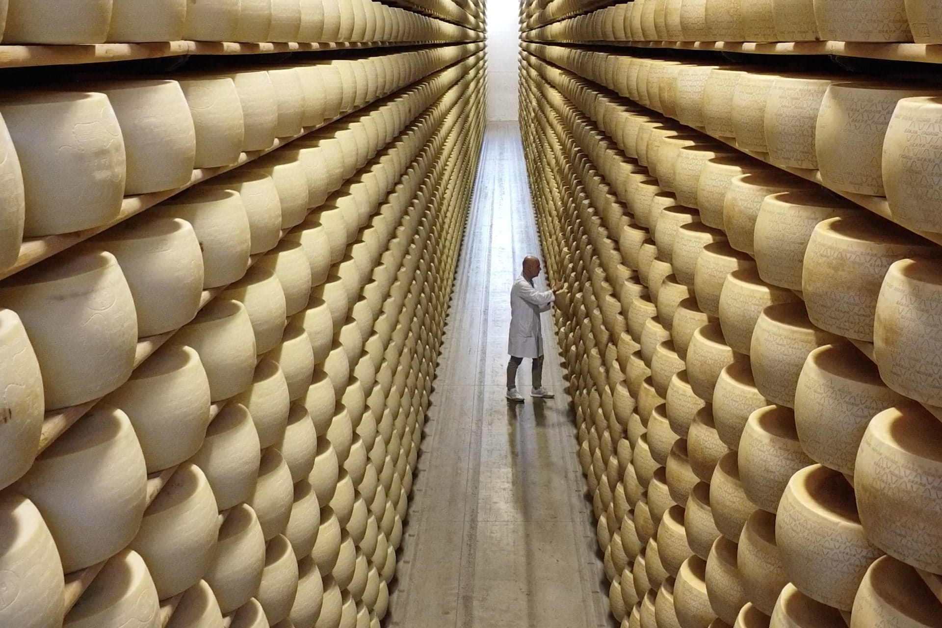 Grana Padano guida la transizione ecologica del settore