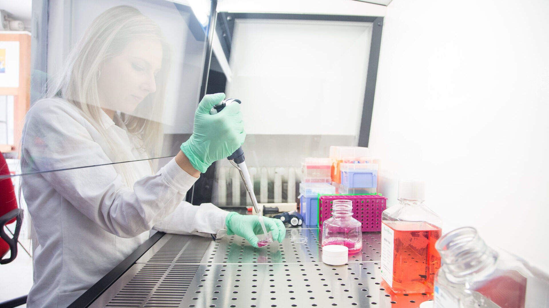 Nuovi farmaci: una ricercatrice aggiunge cellule tumorali ad una piastra InSimili