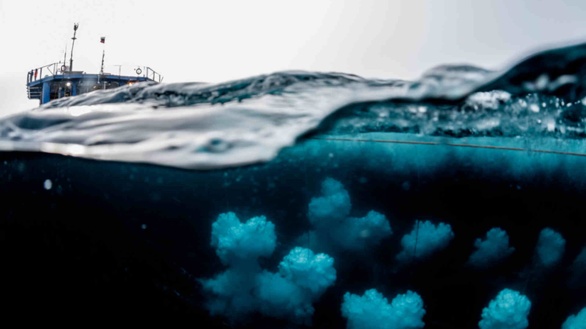 Il Deep Sea Mining e gli ecosistemi marini