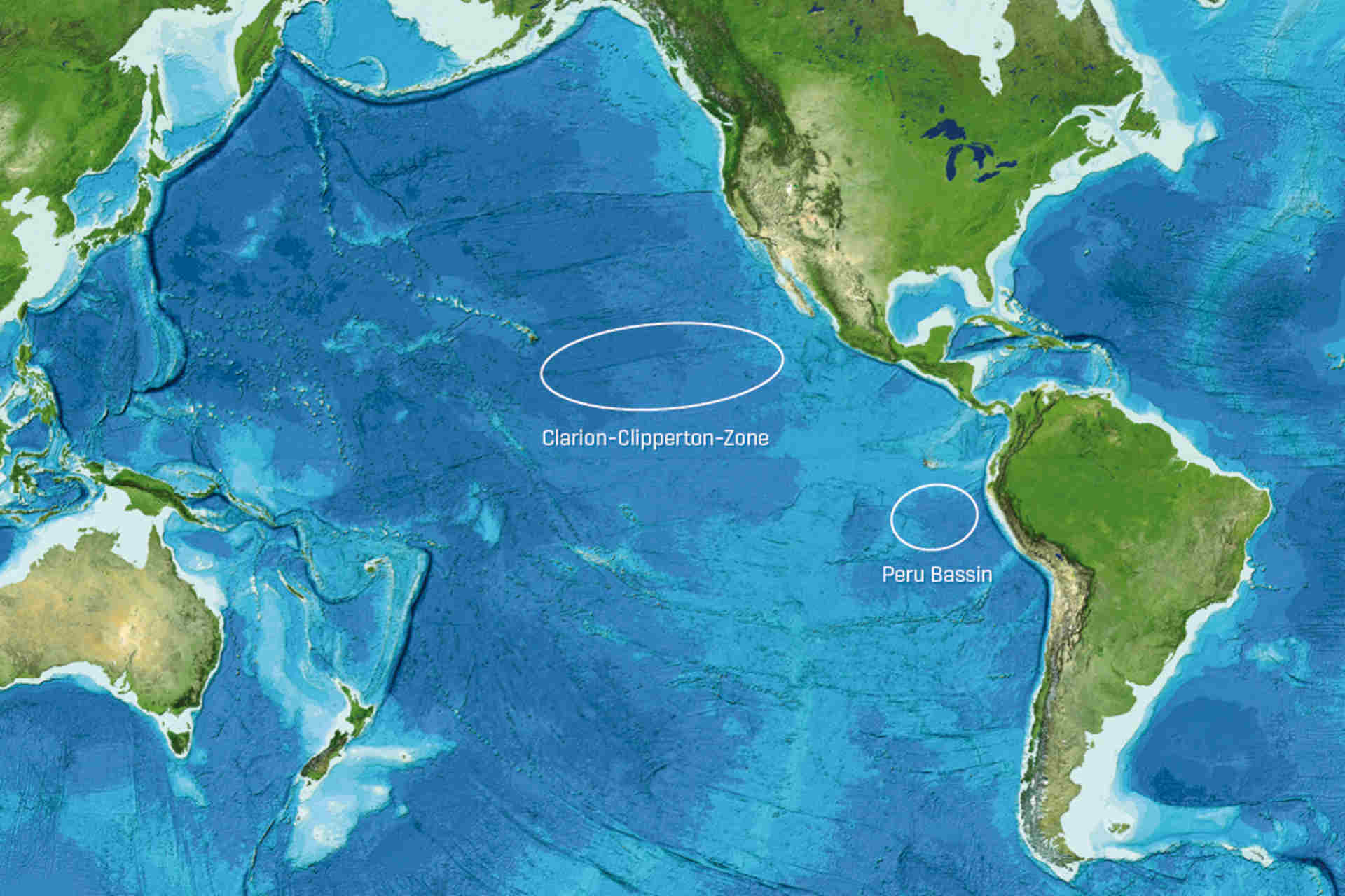 Ancora domande sul Deep Sea Mining: la nuova scoperta