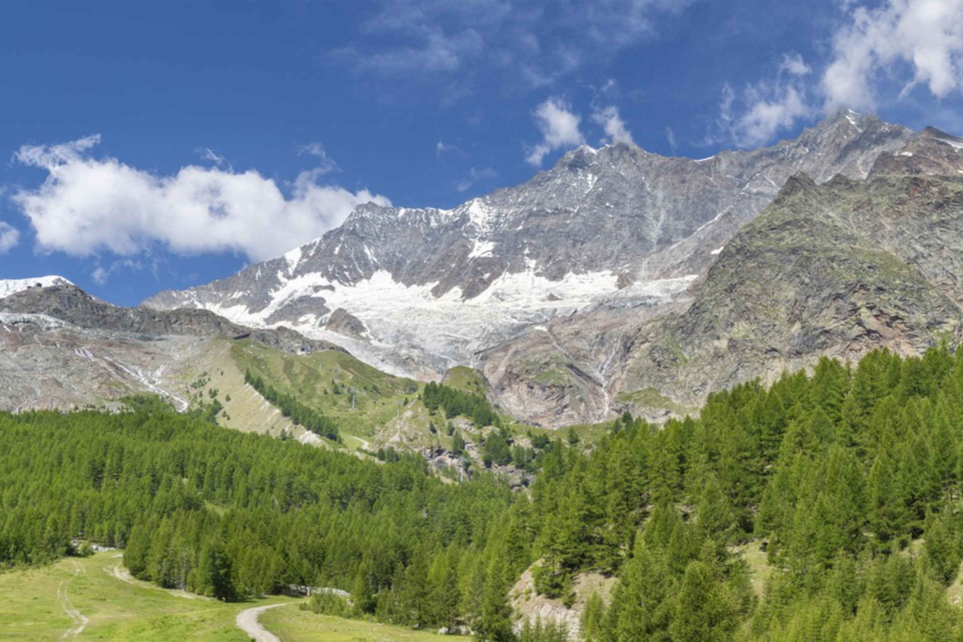 La linea degli alberi e i laghi alpini: lo studio