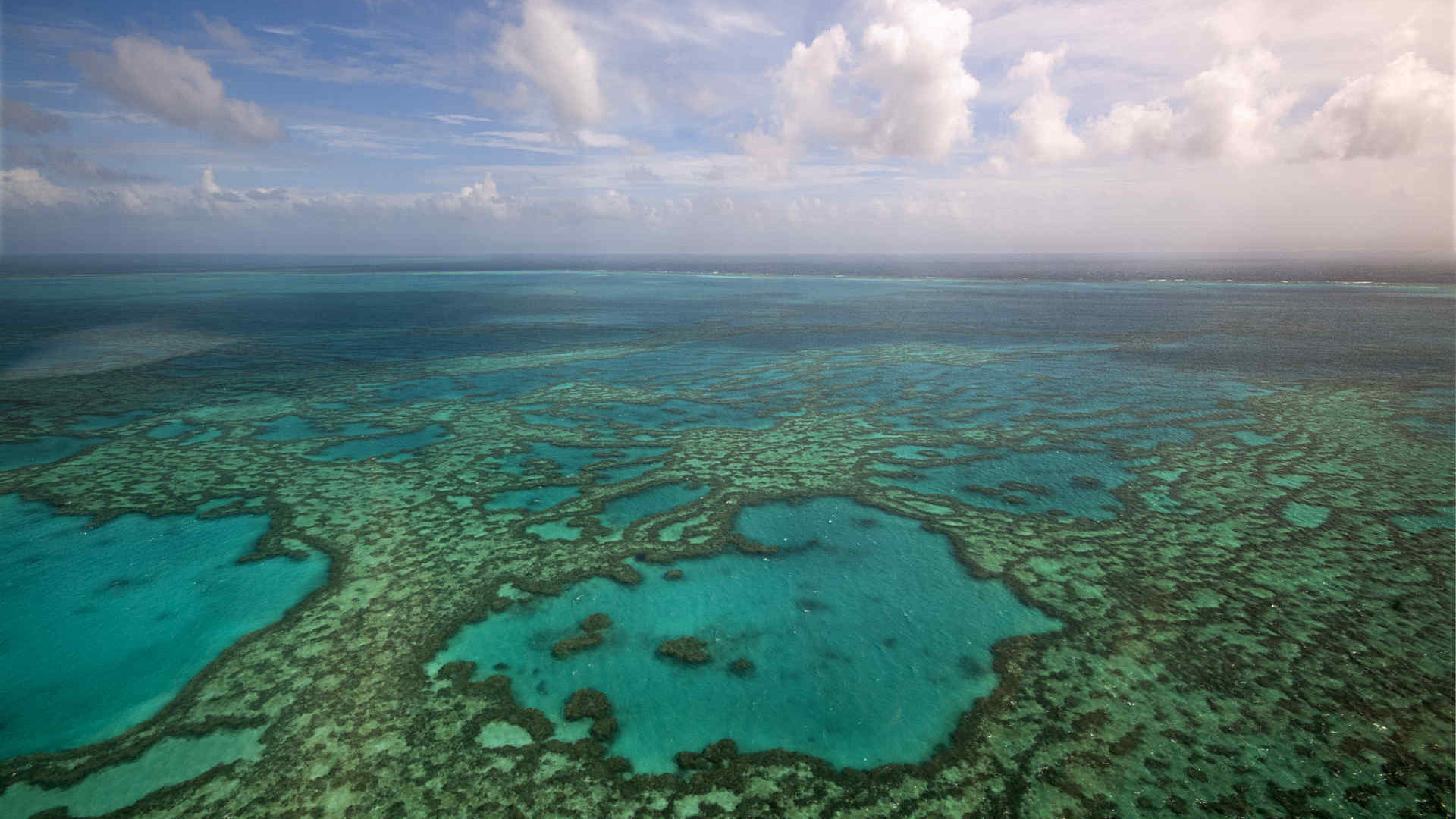 Grande Barriera Corallina: registrate le temperature più alte degli ultimi 400 anni