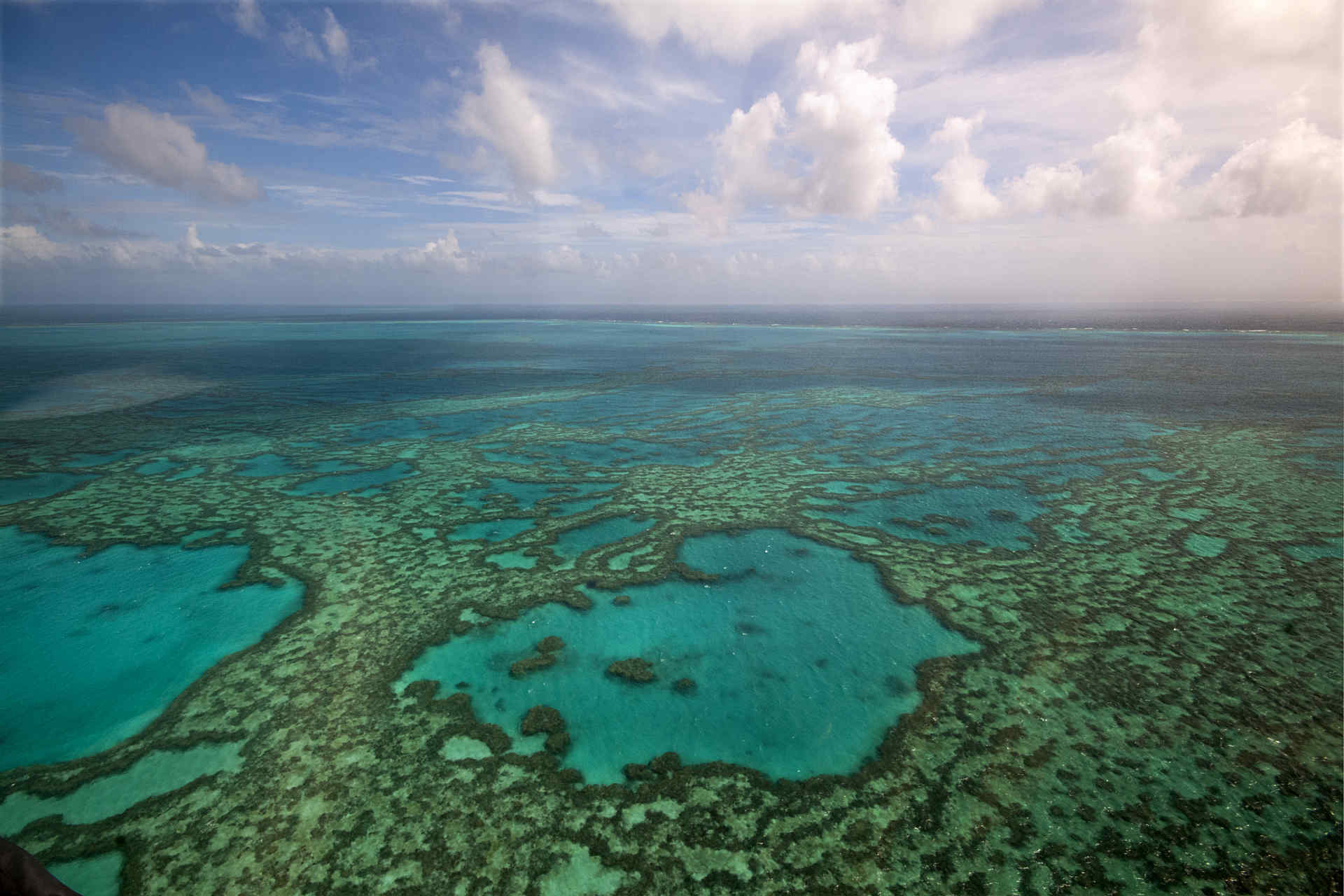 Grande Barriera Corallina: registrate le temperature più alte degli ultimi 400 anni